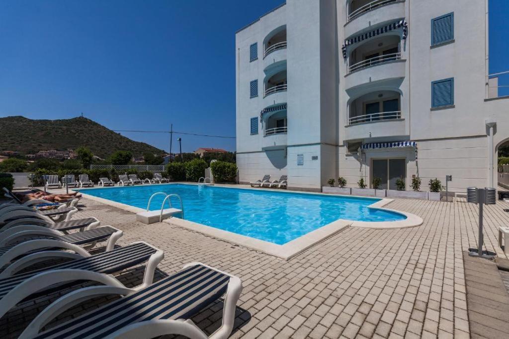 Hibiscus 3*