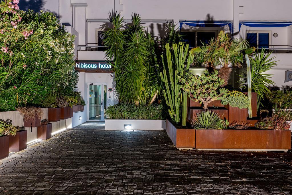 Hibiscus 3* La Caletta